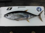 DSCF0246