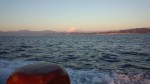 DSC_0248[1]