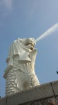 DSC_0331[1]