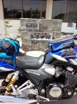 DSC_0264[1]